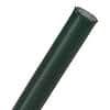 Flexo® PET - 3/4" - Forest Green